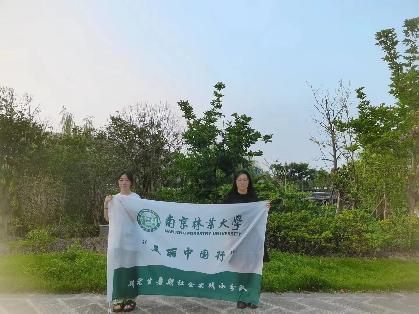 实践团队
