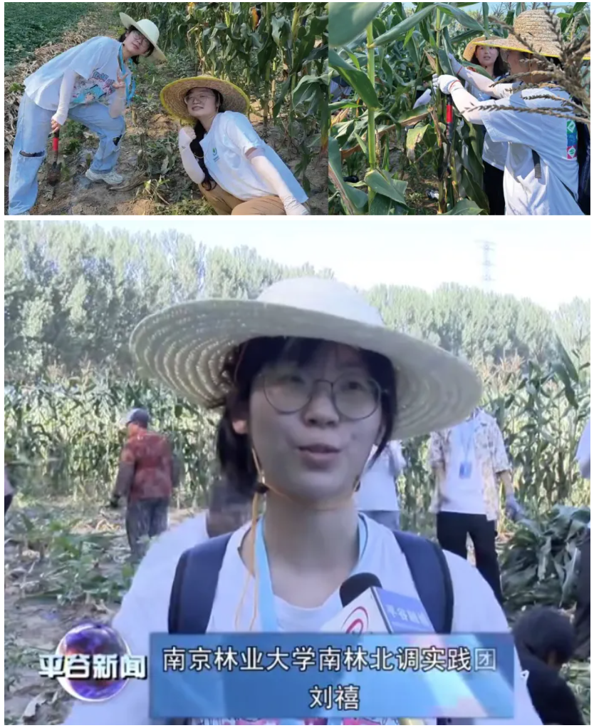 微信图片_20240904140206